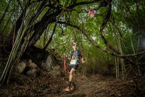 BIB: 
                            <button type="button" onclick="openModal(22178629)" class="btn btn-primary btn-sm float-right btn-popup" data-toggle="modal" data-target=".modal-high-quality">
                        <i class="fas fa-shopping-cart"></i> Add to Cart
                    </button>
                                            <button type="button" onclick="isThisMe(22178629, true)" class="btn btn-success btn-sm float-right btn-popup btn-isme hidden" data-toggle="tooltip" data-placement="bottom" title="นี่คือรูปของคุณใช่ไหม คลิกที่นี่เพื่อเอาเข้าอัลบั้ม">
                        <i class="fas fa-plus"></i> Add to album
                    </button>
                    <button type="button" onclick="isThisMe(22178629, false)" class="btn btn-warning btn-sm float-right btn-popup btn-isnotme hidden">
                        <i class="fas fa-ban"></i> Remove from album
                    </button>